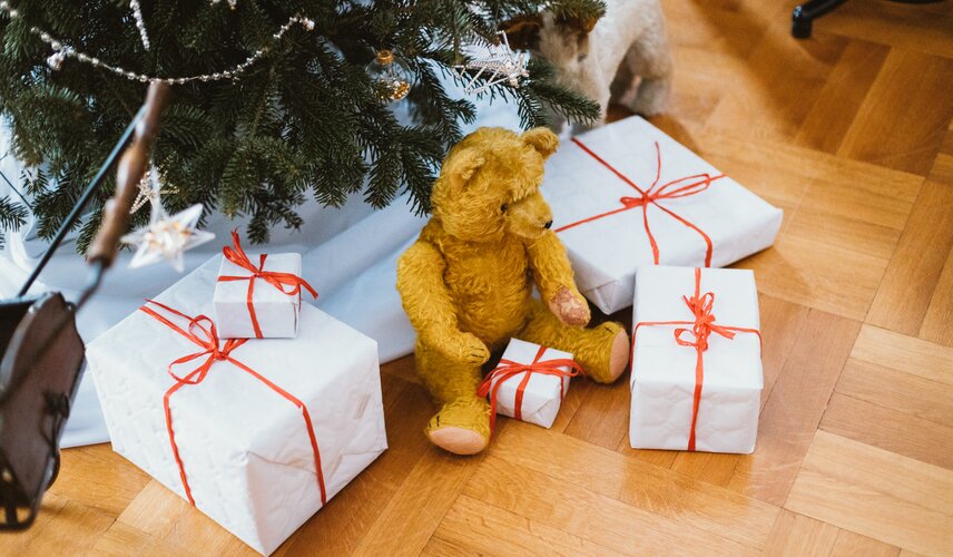 Vila Stiassni Vila Stiassni